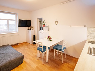 Prodej bytu 1+kk 22 m²