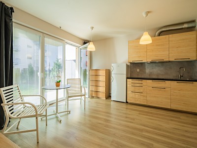 Prodej bytu 1+kk 33 m² (Jednopodlažní)