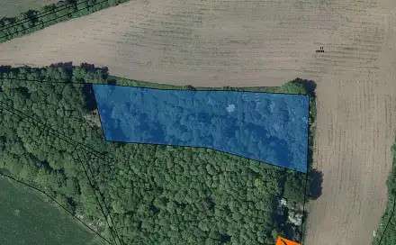 prodej
lesa 6 587 m²