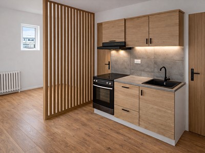 Prodej bytu 1+kk 24 m² (Jednopodlažní)