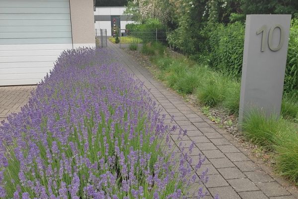Prodej bytu 88 m²